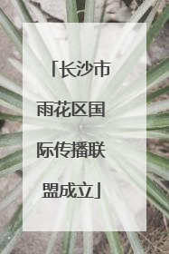 长沙市雨花区国际传播联盟成立