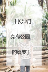 长沙月亮岛公园的蝶变