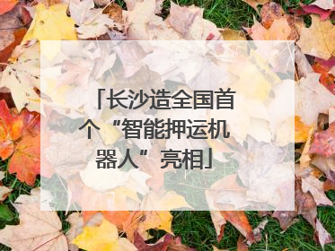 长沙造全国首个“智能押运机器人”亮相