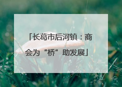 长葛市后河镇：商会为“桥”助发展