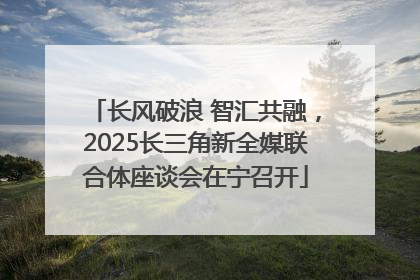 长风破浪 智汇共融，2025长三角新全媒联合体座谈会在宁召开