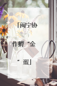 闽宁协作孵“金”蛋