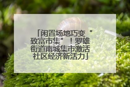 闲置场地巧变“致富市集”！罗雄街道南城集市激活社区经济新活力