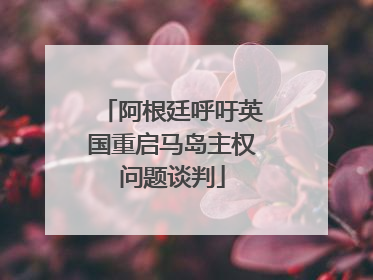 阿根廷呼吁英国重启马岛主权问题谈判