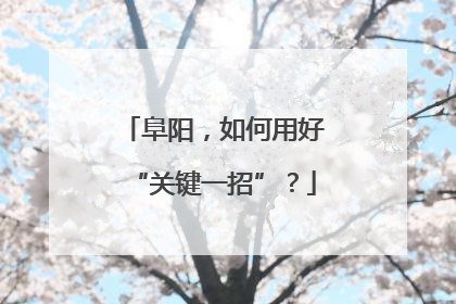 阜阳，如何用好“关键一招”？