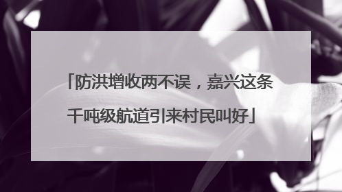 防洪增收两不误，嘉兴这条千吨级航道引来村民叫好