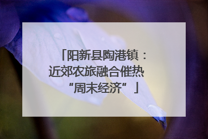 阳新县陶港镇：近郊农旅融合催热“周末经济”