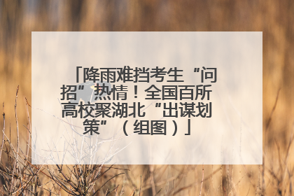 降雨难挡考生“问招”热情！全国百所高校聚湖北“出谋划策”（组图）