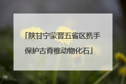 陕甘宁蒙晋五省区携手保护古脊椎动物化石
