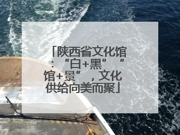 陕西省文化馆：“白+黑”“馆+景”，文化供给向美而聚