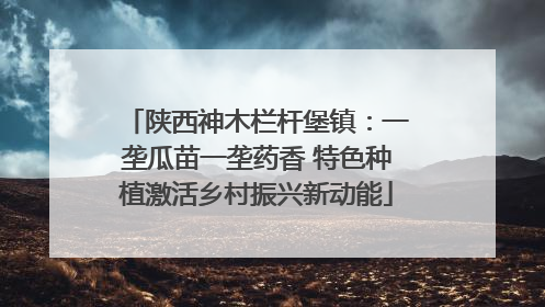 陕西神木栏杆堡镇：一垄瓜苗一垄药香 特色种植激活乡村振兴新动能