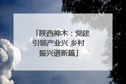 陕西神木：党建引领产业兴 乡村振兴谱新篇