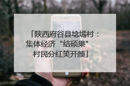 陕西府谷县埝墕村：集体经济“结硕果” 村民分红笑开颜