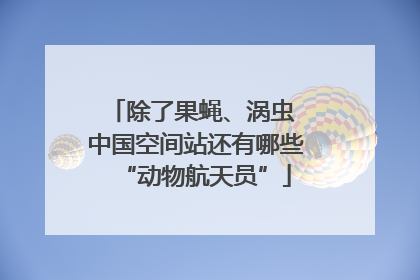 除了果蝇、涡虫 中国空间站还有哪些“动物航天员”