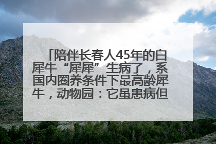 陪伴长春人45年的白犀牛“犀犀”生病了，系国内圈养条件下最高龄犀牛，动物园：它虽患病但未处于弥留之际