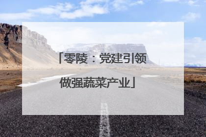 零陵：党建引领 做强蔬菜产业