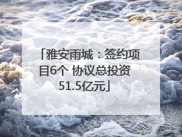 雅安雨城：签约项目6个 协议总投资51.5亿元
