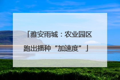 雅安雨城：农业园区跑出播种“加速度”