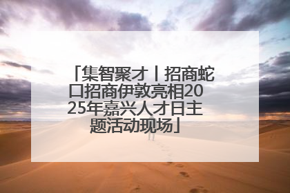 集智聚才丨招商蛇口招商伊敦亮相2025年嘉兴人才日主题活动现场