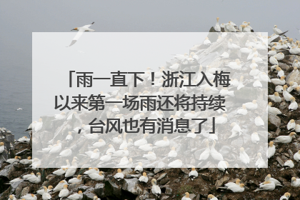 雨一直下！浙江入梅以来第一场雨还将持续，台风也有消息了
