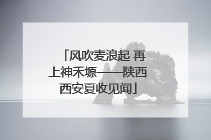风吹麦浪起 再上神禾塬——陕西西安夏收见闻