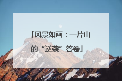 风景如画：一片山的“逆袭”答卷