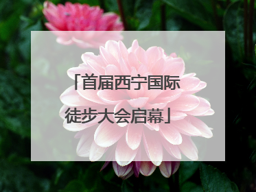 首届西宁国际徒步大会启幕