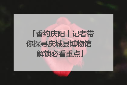 香约庆阳丨记者带你探寻庆城县博物馆 解锁必看重点