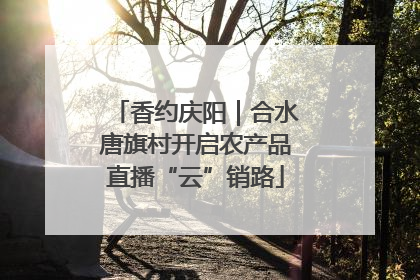 香约庆阳｜合水唐旗村开启农产品直播“云”销路