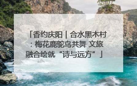 香约庆阳｜合水黑木村：梅花鹿鸵鸟共舞 文旅融合绘就“诗与远方”