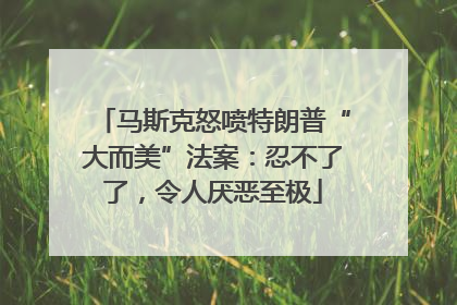 马斯克怒喷特朗普“大而美”法案：忍不了了，令人厌恶至极