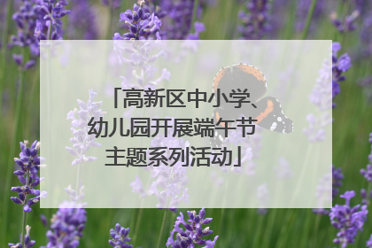 高新区中小学、幼儿园开展端午节主题系列活动
