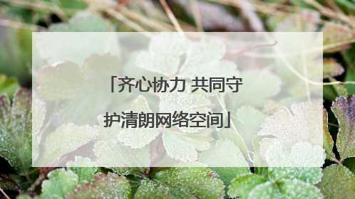 齐心协力 共同守护清朗网络空间