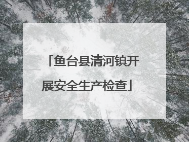鱼台县清河镇开展安全生产检查