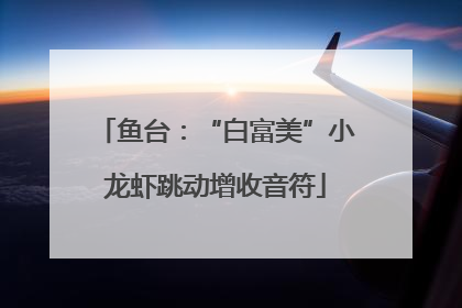 鱼台：“白富美”小龙虾跳动增收音符