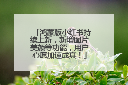 鸿蒙版小红书持续上新，新增图片美颜等功能，用户心愿加速成真！