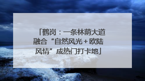 鹤岗：一条林荫大道融合“自然风光＋欧陆风情”成热门打卡地