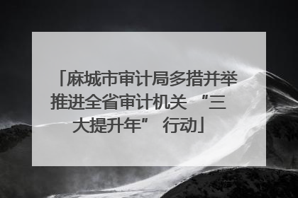 麻城市审计局多措并举推进全省审计机关 “三大提升年” 行动