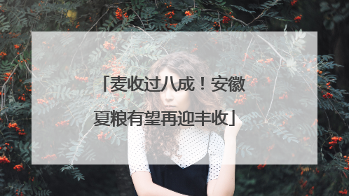 麦收过八成！安徽夏粮有望再迎丰收