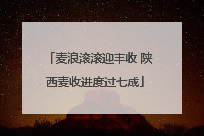 麦浪滚滚迎丰收 陕西麦收进度过七成