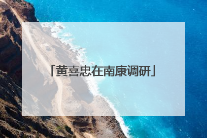 黄喜忠在南康调研