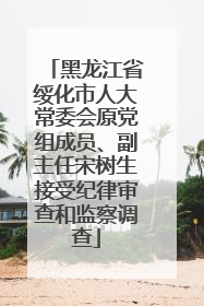 黑龙江省绥化市人大常委会原党组成员、副主任宋树生接受纪律审查和监察调查