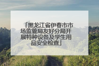 黑龙江省伊春市市场监管局友好分局开展特种设备及学生用品安全检查