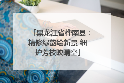 黑龙江省桦南县：精修绿韵绘新景 细护芳枝映晴空