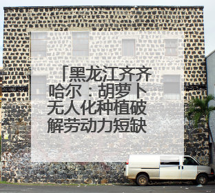 黑龙江齐齐哈尔：胡萝卜无人化种植破解劳动力短缺难题