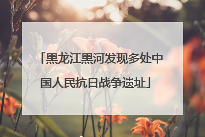 黑龙江黑河发现多处中国人民抗日战争遗址
