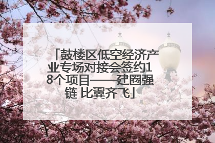 鼓楼区低空经济产业专场对接会签约18个项目——建圈强链 比翼齐飞