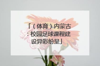 （体育）内蒙古：校园足球课程建设异彩纷呈