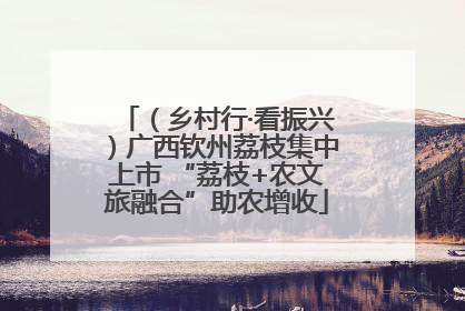（乡村行·看振兴）广西钦州荔枝集中上市 “荔枝+农文旅融合”助农增收