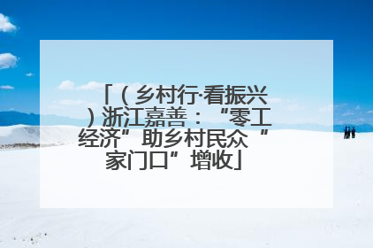 （乡村行·看振兴）浙江嘉善：“零工经济”助乡村民众“家门口”增收